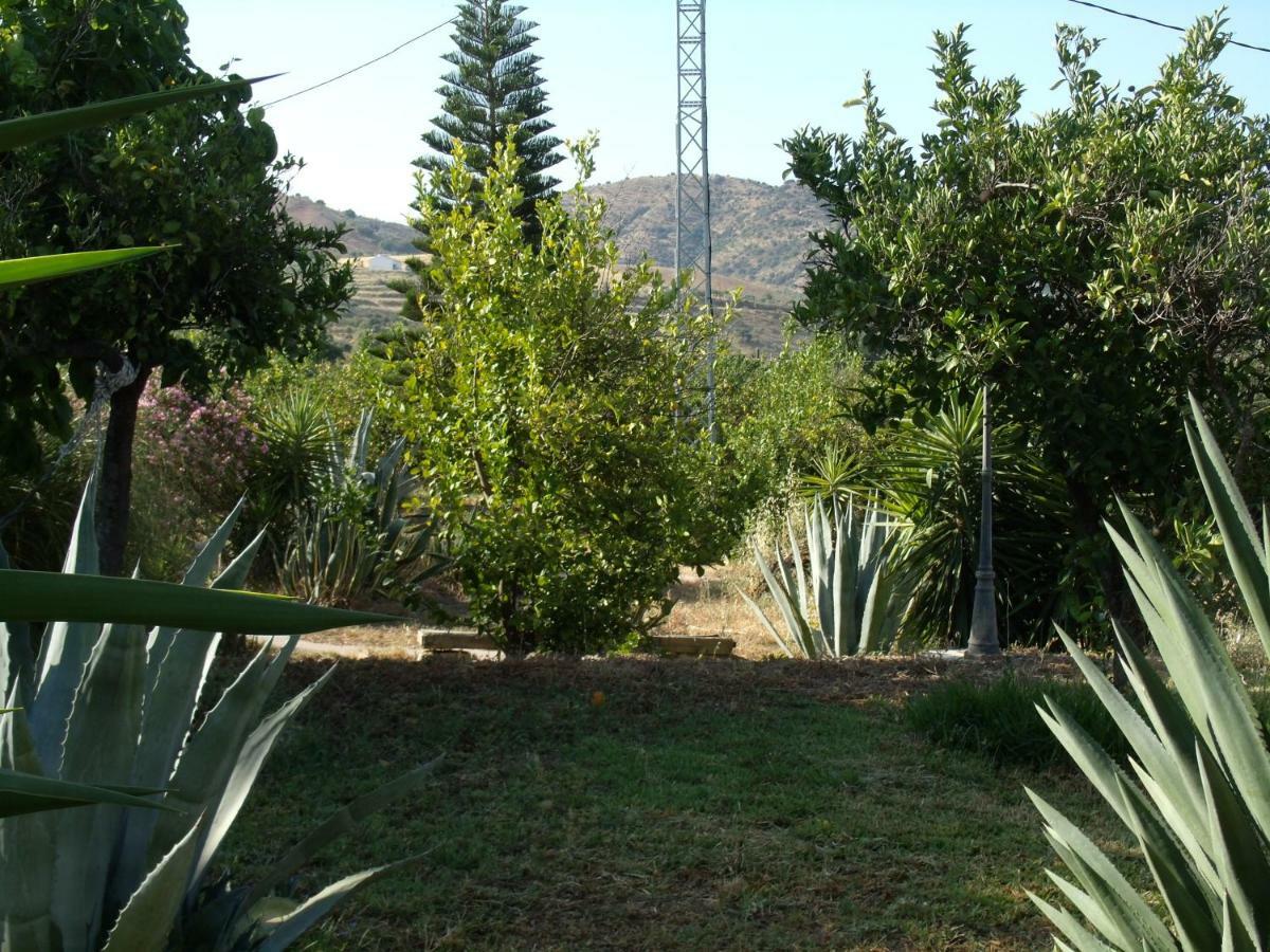 La Finca Blanca Alora Exterior foto